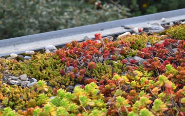 the cost of Milldale green roof installation